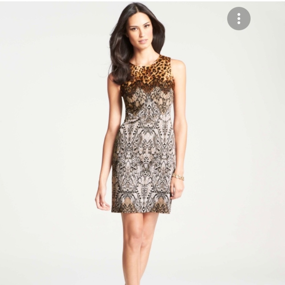 Ann Taylor | Ezotic Print Sheath Dress